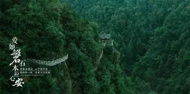 教资改卷是区域改吗
