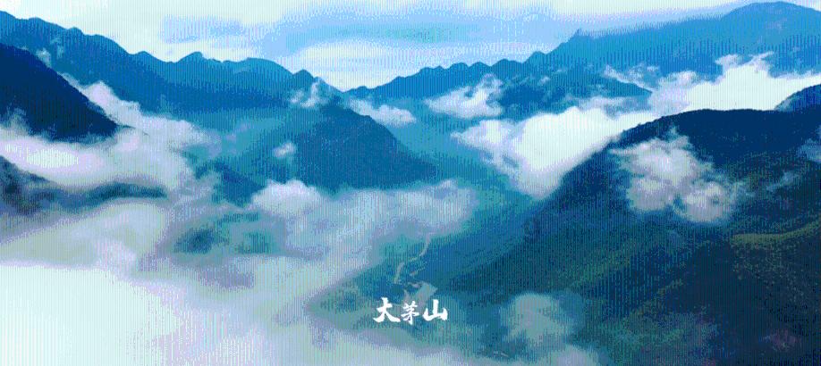上仙有毒