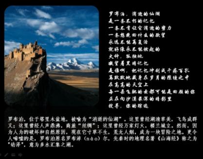 九阳、宫菱、东芝电饭煲值得选购吗?2024年度爆款产品维度测评