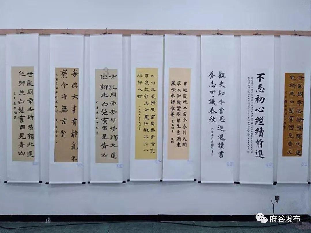 植物大战僵尸5
