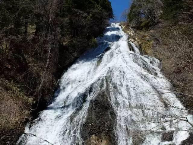 逆水寒