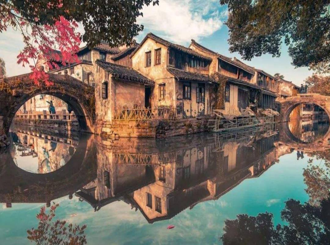 破碎的动物图形2